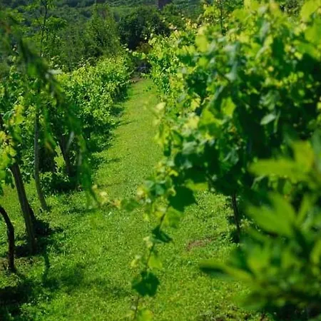 Quinta Do Mosteiro בית נופש פלגראס