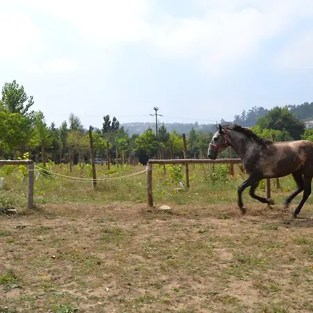 Tatil Evi Quinta Do Mosteiro *