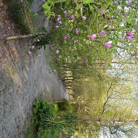 Quinta Do Mosteiro Felgueiras