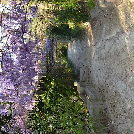 Quinta Do Mosteiro פלגראס