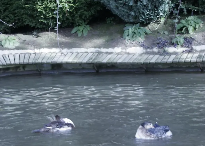 Quinta Do Mosteiro פלגראס