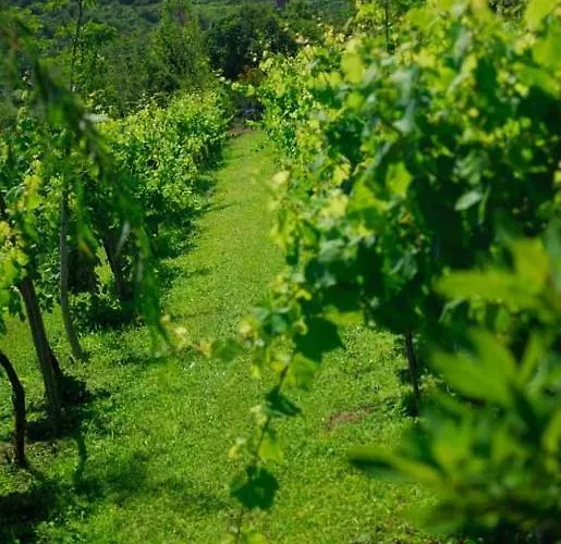 Quinta Do Mosteiro בית נופש פלגראס