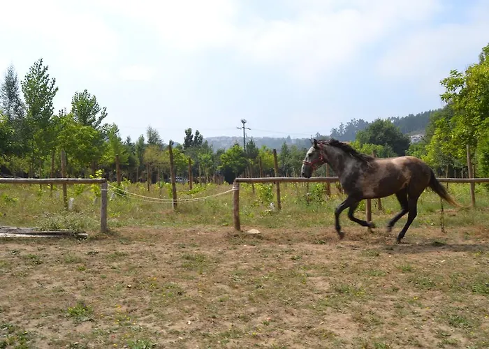 Σπίτι διακοπών Quinta Do Mosteiro *