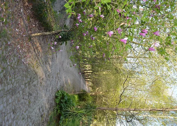 Quinta Do Mosteiro Felgueiras