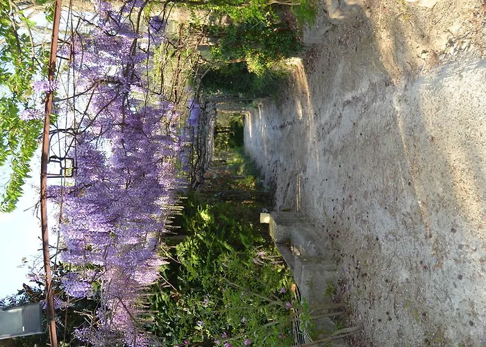 Quinta Do Mosteiro פלגראס